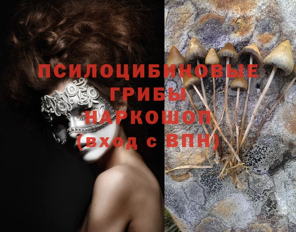 мескалин Абинск