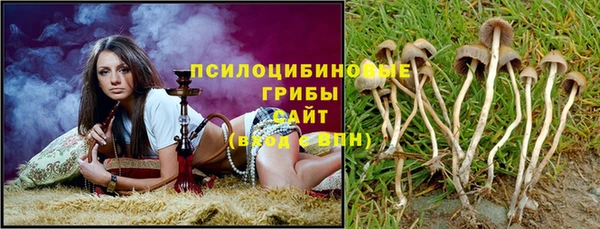 СК Абдулино