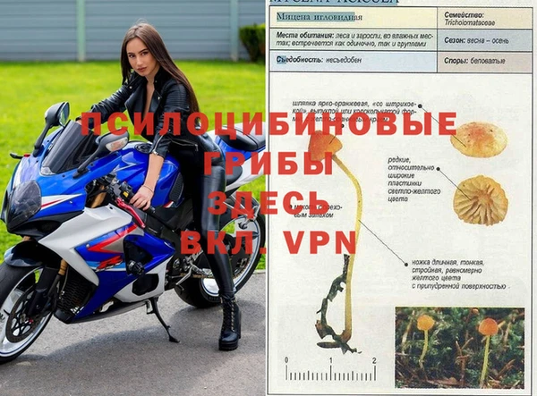 мескалин Абинск