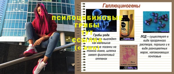 не бодяженный Абаза