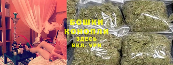 крисы Алзамай