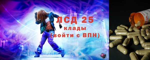 СК Абдулино