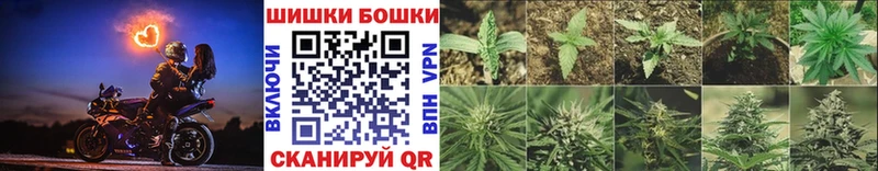 Канабис сатива  Зерноград 